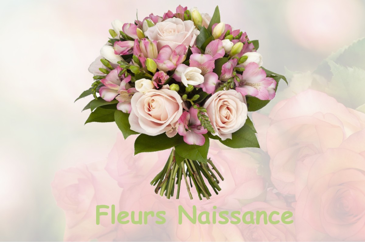 fleurs naissance SAINT-LAURENT-DE-VAUX